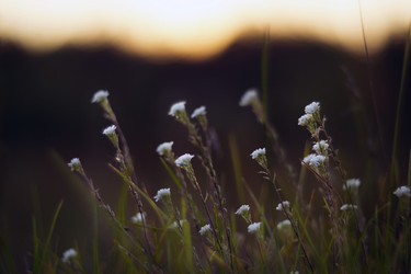 Similar image 12690629