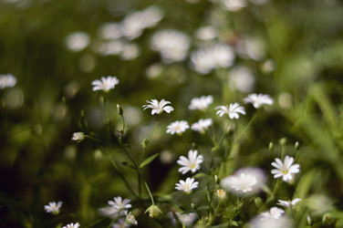 Similar image 12690630