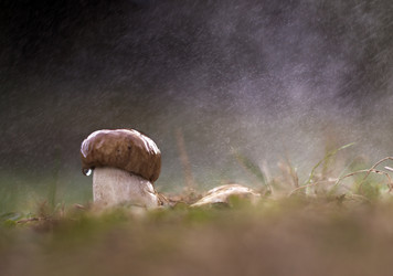 Similar image 12690631