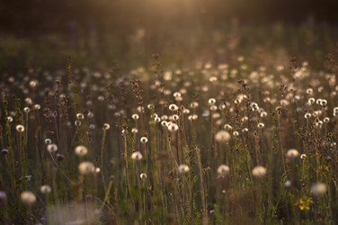 Similar image 12690632