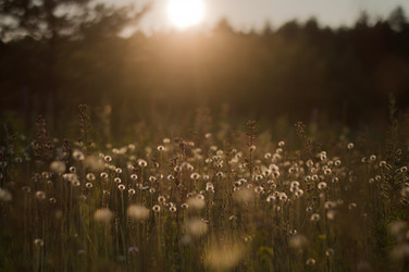 Similar image 12690633