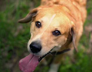 Similar image 12690636