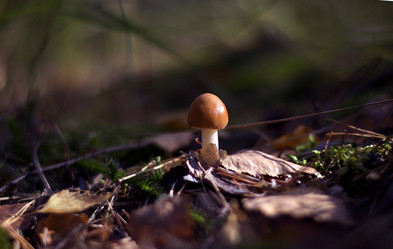 Similar image 12690597