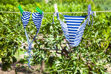 Similar image 12693001