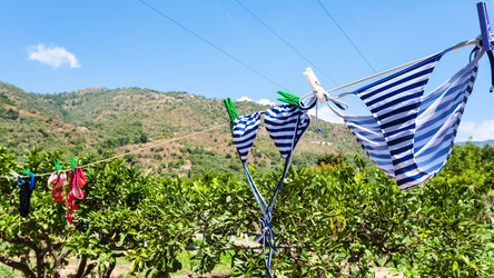 Similar image 12979531