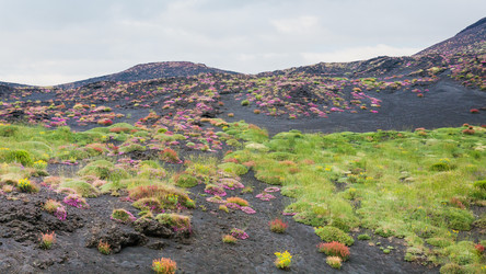 Similar image 12979551