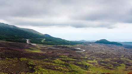 Similar image 12979553