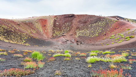 Similar image 12979590