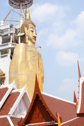 Similar image 12691768