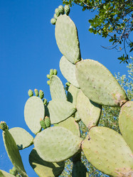 Similar image 12981715