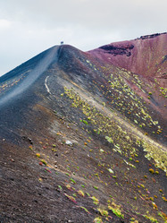 Similar image 12981737