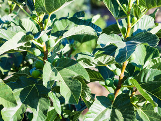 Similar image 12981739