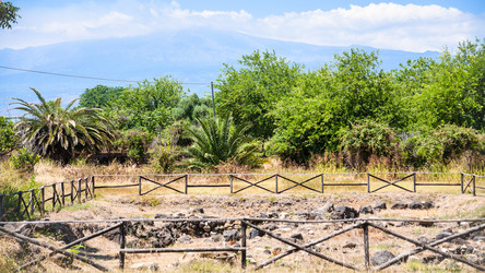 Similar image 12981773