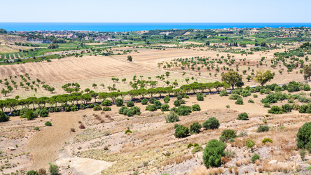 Similar image 12989214