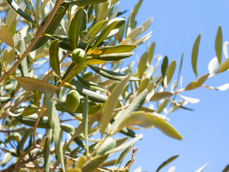 Similar image 12989235