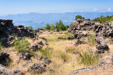 Similar image 12989240