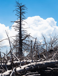 Similar image 12989454