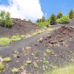 Similar image 12989530