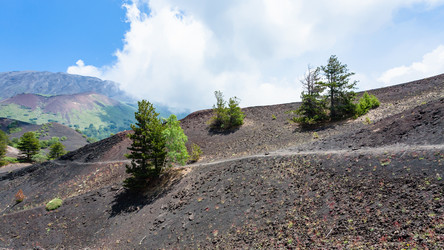 Similar image 12989535