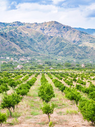 Similar image 12989564