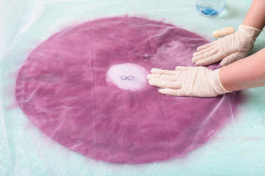 Similar image 12692961