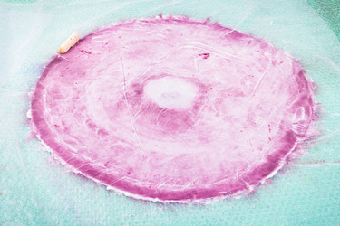 Similar image 12692963