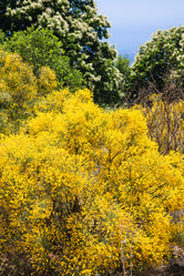 Similar image 12979540