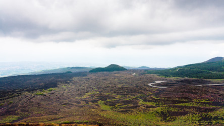 Similar image 12979576