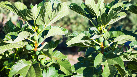 Similar image 12979598