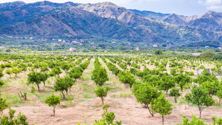 Similar image 12979615