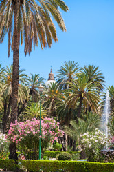 Similar image 12981742