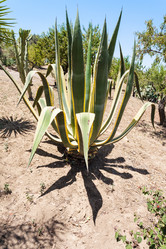 Similar image 12981764