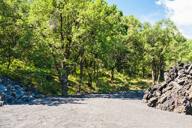 Similar image 12989191