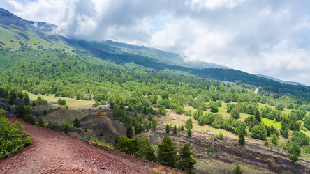 Similar image 12989459