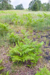 Similar image 12989480