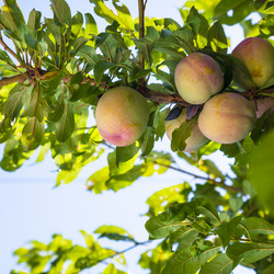 Similar image 12989503