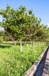 Similar image 12692969