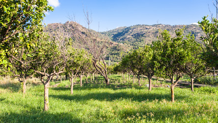 Similar image 12693005