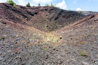 Similar image 12979587