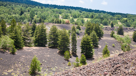 Similar image 12979603