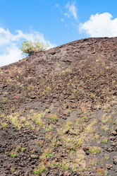 Similar image 12981708