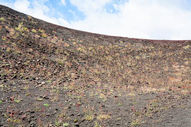 Similar image 12981733