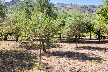 Similar image 12989243