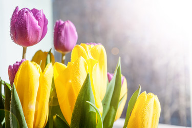 Similar image 12698487