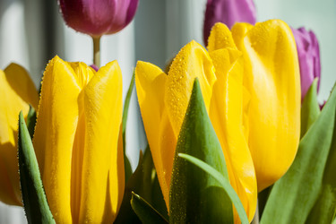 Similar image 12698488