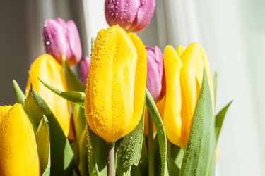 Similar image 12698492