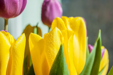 Similar image 12698493