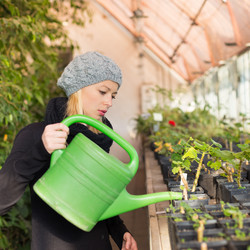 Similar image 12984496