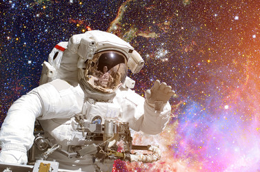 Similar image 13001069