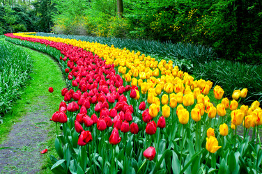 Similar image 12976417